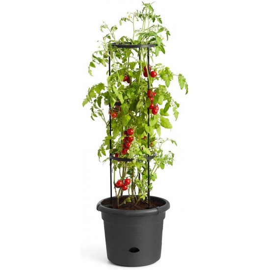 Shop quality Elho Green Basics Tomato Pot 33cm Plant Pot + Growing Frame - Living Black in Kenya from vituzote.com Shop in-store or online and get countrywide delivery!