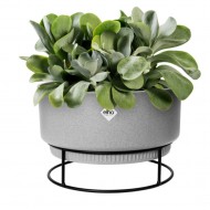 Elho Studio Bowl 30cm Indoor Plastic Pot, Living Concrete Colour