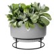 Shop quality Elho Studio Bowl 30cm Indoor Plastic Pot, Living Concrete Colour in Kenya from vituzote.com Shop in-store or online and get countrywide delivery!