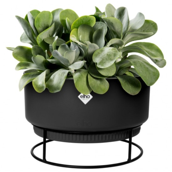Elho Studio Bowl 30cm Indoor Plastic Pot - Living Black Colour