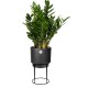 Shop quality Elho Studio Round Indoor Flower Pot  - Living Black in Kenya from vituzote.com Shop in-store or online and get countrywide delivery!