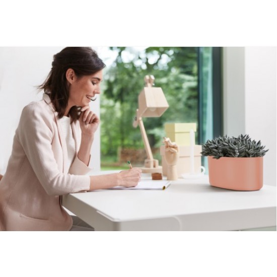 Elho Duo Flowerpot - Delicate Pink - Indoor Flower Pot, 4181302718100 Shop quality Elho Duo Flowerpot - Delicate Pink - Indoor Flower Pot in Kenya from vituzote.com Shop in-store or online and get countrywide delivery!