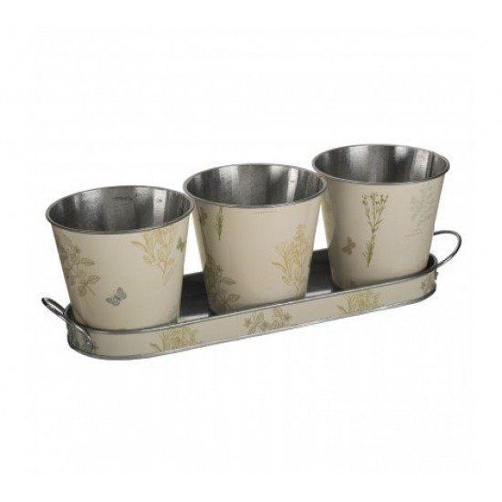 Shop quality Premier Jardin Set Of 3 Pots On Oblong Tray in Kenya from vituzote.com Shop in-store or online and get countrywide delivery!