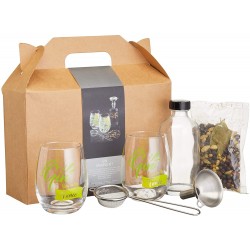 Barcraft Gin Making Kit in Gift Box, Glass