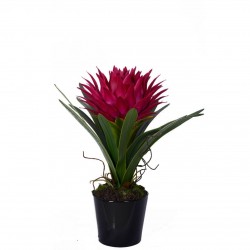 Pink Tropical Plant Black Pot Made From Smooth Ceramic Faux Soil & Brown Root - Maintenance-Free Greenery