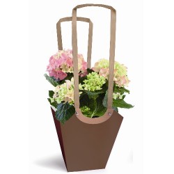 Clayrton's Aqua Carrybag- Medium, Chocolate