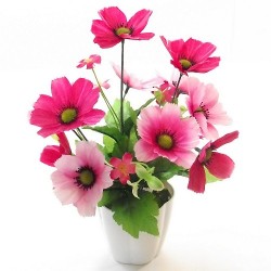 Rainbow Plastic Filled Flower Pot, White, 8.5cm Height- (Flowers Not Included)