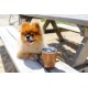 S well Teakwood triple-layered, vacuum-insulated Mug with Handle, 350ml Shop quality S well Teakwood triple-layered, vacuum-insulated Mug with Handle, 350ml in Kenya from vituzote.com Shop in-store or online and get countrywide delivery!