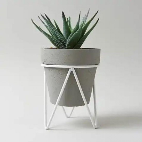 Shop quality Dunelm Grey Succulent in Pot On Stand, 6 cm in Kenya from vituzote.com Shop in-store or online and get countrywide delivery!