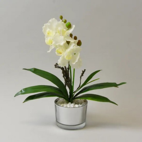 Dunelm Cream Orchid In Silver Pot, 26cm