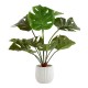 Candlelight Homebase Large Cheese Plant In Ceramic Pot, 49.5 cm