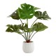 Shop quality Candlelight Homebase Large Cheese Plant In Ceramic Pot, 49.5 cm in Kenya from vituzote.com Shop in-store or online and get countrywide delivery!