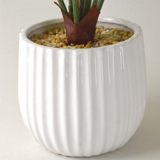 Shop quality Candlelight Homebase Large Cheese Plant In Ceramic Pot, 49.5 cm in Kenya from vituzote.com Shop in-store or online and get countrywide delivery!