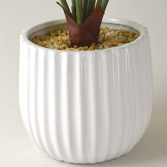 Candlelight Homebase Large Cheese Plant In Ceramic Pot, 49.5 cm