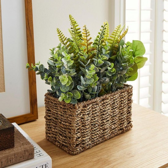 Candlelight Green Ferns in Seagrass Basket