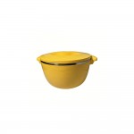 Vakuseal Insulated Hotpot, 1 Liter / 1000 ML - Yellow
