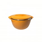 Vakuseal Insulated Hot Pot 2000ML / 2 Liters , Orange