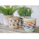 Shop quality Kitchen Craft Woven Seagrass Planter with Handles in Kenya from vituzote.com Shop in-store or online and get countrywide delivery!