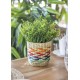 Shop quality Kitchen Craft Woven Seagrass Planter with Rainbow Stripe Design in Kenya from vituzote.com Shop in-store or online and get countrywide delivery!