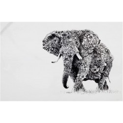Maxwell & Williams Marini Ferlazzo Elephant Tea Towel 100% Indian Cotton, White