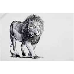 Maxwell & Williams Marini Ferlazzo African Lion Tea Towel 100% Indian Cotton, White