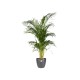 Elho Brussels Indoor Round Flowerpot , Anthracite, 25 cm, 8711904072377 Shop quality Elho Brussels Indoor Round Flowerpot , Anthracite, 25 cm in Kenya from vituzote.com Shop in-store or online and get countrywide delivery!