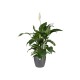 Elho Brussels Indoor Round Flowerpot , Anthracite, 25 cm, 8711904072377 Shop quality Elho Brussels Indoor Round Flowerpot , Anthracite, 25 cm in Kenya from vituzote.com Shop in-store or online and get countrywide delivery!