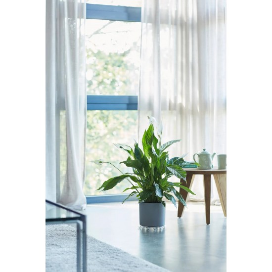 Elho Floor Protector Round Transparent, 12.5cm, 8711904074371 Shop quality Elho Floor Protector Round Transparent, 12.5cm in Kenya from vituzote.com Shop in-store or online and get countrywide delivery!