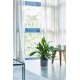 Elho Floor Protector Round Transparent, 12.5cm, 8711904074371 Shop quality Elho Floor Protector Round Transparent, 12.5cm in Kenya from vituzote.com Shop in-store or online and get countrywide delivery!