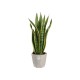 Elho B.For Rock Warm Grey, 18cm, 8711904303105 Shop quality Elho B.For Rock Warm Grey, 18cm in Kenya from vituzote.com Shop in-store or online and get countrywide delivery!
