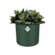 Elho B.For Soft Round Leaf Green, 14cm Shop quality Elho B.For Soft Round Leaf Green, 14cm in Kenya from vituzote.com Shop in-store or get countrywide delivery!