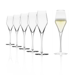 Stolzle Symphony Champagne Glass, 290ml, Set of 6