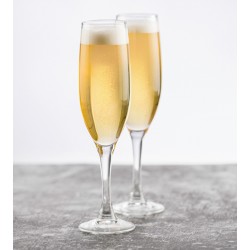 Neville Genware FT Arneis Champagne Flute 17.5cl/6oz