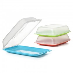 Tatay Cold Cuts Container, Assorted colors - 2 Litres
