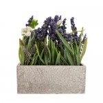 Candlelight Lavender in Paper Mache Pot