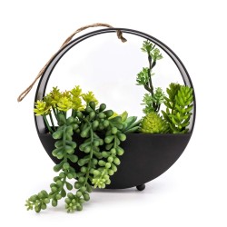 Candlelight Succulents In Round Metal Hanging Pot Black, 37cm 