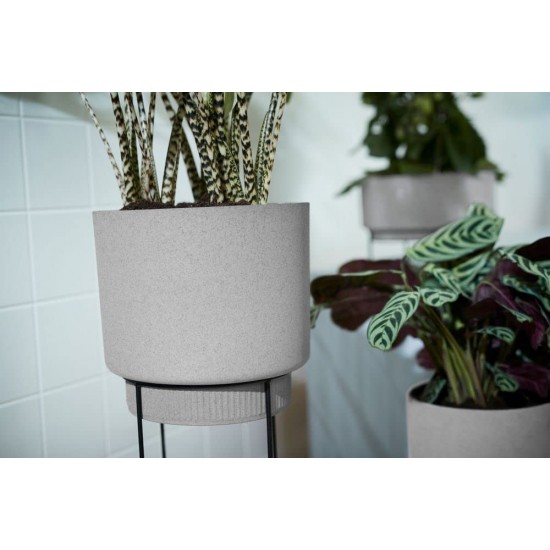 Shop quality Elho B.for Studio Round 30cm Diameter / 68.9 cm Height - Flower Pot for Indoor, Grey/Living Concrete in Kenya from vituzote.com Shop in-store or online and get countrywide delivery!