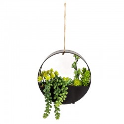 Candlelight Succulents In Round Metal Hanging Pot Black, 37cm 
