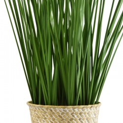 Candlelight Faux Tall Grass in Rattan Basket, 49cm