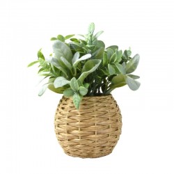 Candlelight Faux Green Sage Leaves in Rattan Basket, 23cm