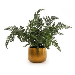 Candlelight Fern in Ceramic Gold Pot, 22cm Height