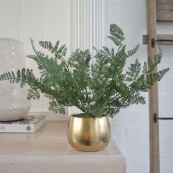 Candlelight Fern in Ceramic Gold Pot, 22cm Height