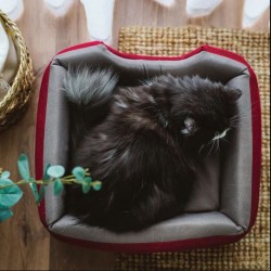 Ariika Bumble Bee Pet Bed - ( 40W x 35D x 32.5H )