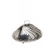 Shop quality Kitchen Craft Stainless Steel Collapsible Steaming Basket,  28cm in Kenya from vituzote.com Shop in-store or online and get countrywide delivery!