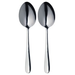 Master Class Stainless Steel Serving Spoons, 23.5 cm (Set of 2)