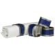 Shop quality Premier Sapphire Glitter Napkin Rings - Set of 4, Blue in Kenya from vituzote.com Shop in-store or online and get countrywide delivery!