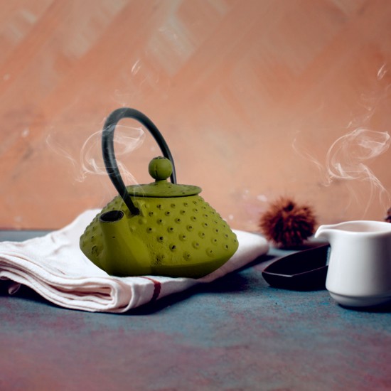 Shop quality Rosseto Japanese -Style Infuser Cast Iron Teapot, 300ml - Lime Green in Kenya from vituzote.com Shop in-store or online and get countrywide delivery!
