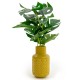Shop quality Candlelight High Cheese Plant In Ceramic Zig Zag Vase Ochre, 30cm in Kenya from vituzote.com Shop in-store or online and get countrywide delivery!