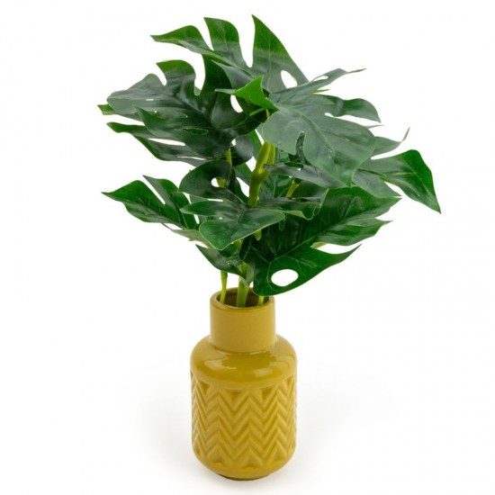 Shop quality Candlelight High Cheese Plant In Ceramic Zig Zag Vase Ochre, 30cm in Kenya from vituzote.com Shop in-store or online and get countrywide delivery!