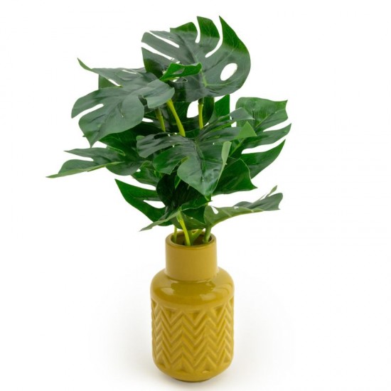 Shop quality Candlelight High Cheese Plant In Ceramic Zig Zag Vase Ochre, 30cm in Kenya from vituzote.com Shop in-store or online and get countrywide delivery!